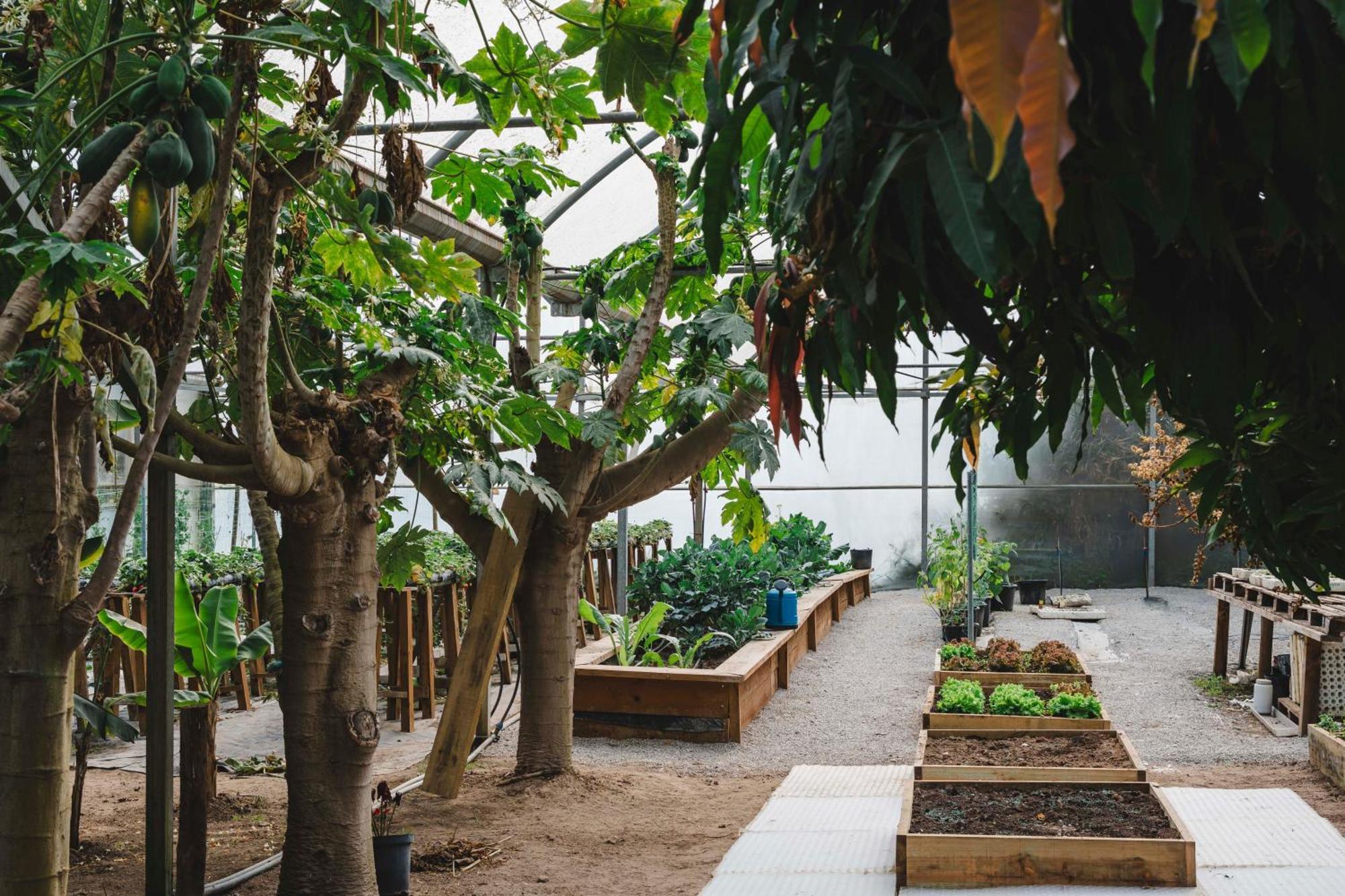 مبيت وإفطار توريس فيدراس Quinta Da Carlota المظهر الخارجي الصورة